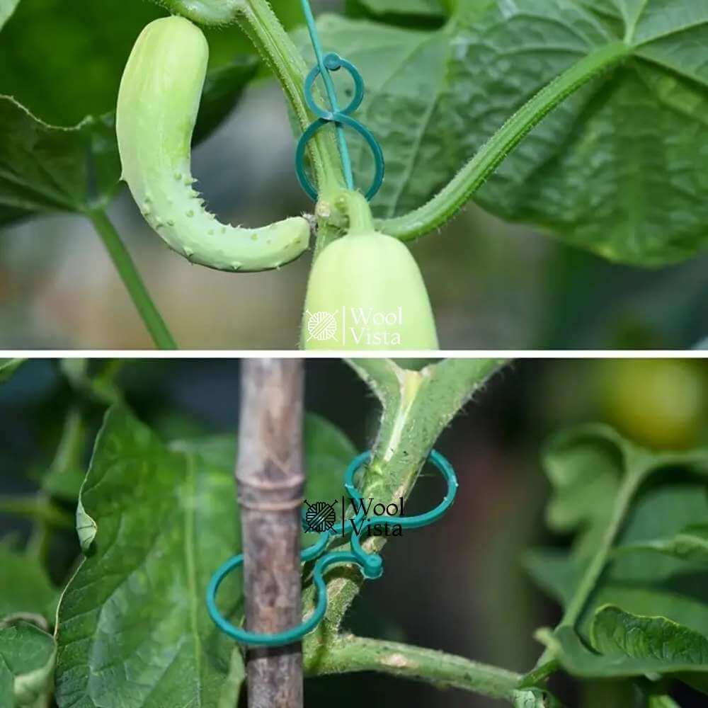 GARDEN PLANT SUPPORT CLIPS – GREEN PLASTIC CLIPS FOR CLIMBING PLANTS, TOMATOES & VEGETABLE VINES (20 PIECES)