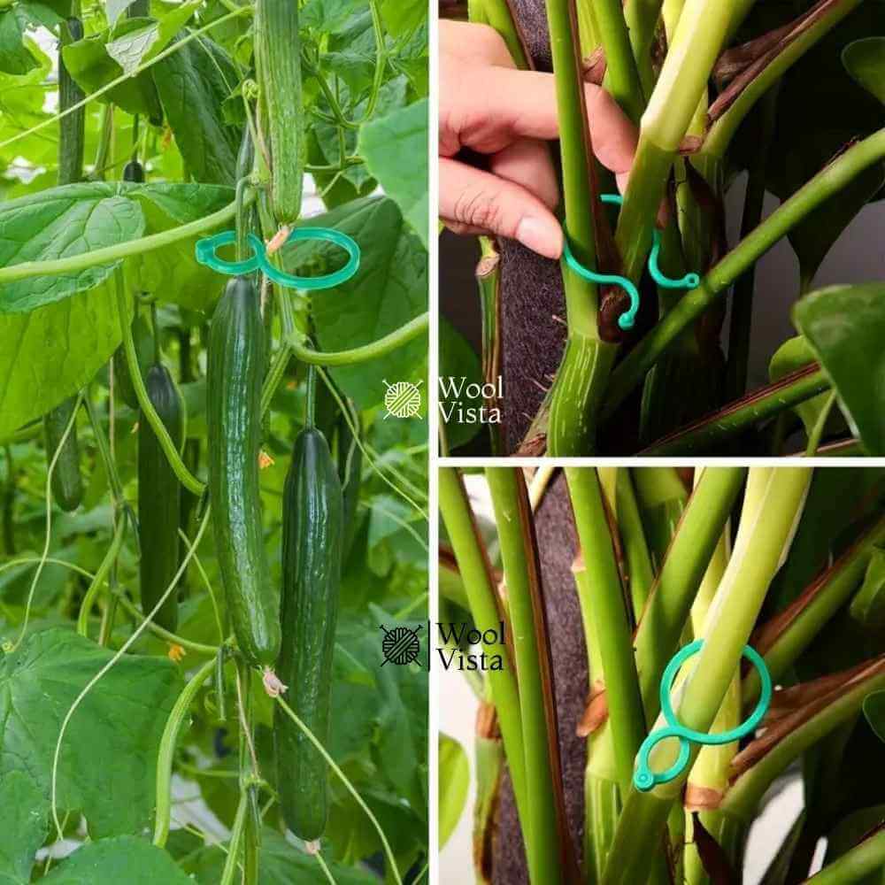 GARDEN PLANT SUPPORT CLIPS – GREEN PLASTIC CLIPS FOR CLIMBING PLANTS, TOMATOES & VEGETABLE VINES (20 PIECES)
