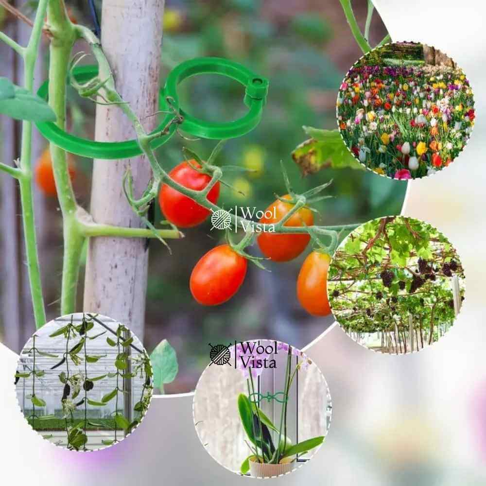 GARDEN PLANT SUPPORT CLIPS – GREEN PLASTIC CLIPS FOR CLIMBING PLANTS, TOMATOES & VEGETABLE VINES (20 PIECES)