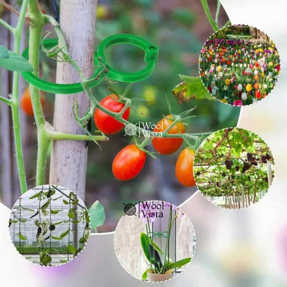 GARDEN PLANT SUPPORT CLIPS – GREEN PLASTIC CLIPS FOR CLIMBING PLANTS, TOMATOES & VEGETABLE VINES (20 PIECES)